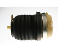 TRISCAN 8720 29202 Molla pneumatica