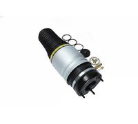 Soffietto sospensione pneumatica anteriore Sx Ponte superiore 2079026 KAMOKA