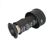 Soffietto, Sospensione pneumatica ARNOTT EUROPE per C4 GRAND PICASSO I 2 2006-