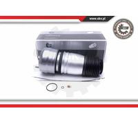 ESEN SKV 58SKV062 Molla pneumatica