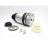 MONROE ASP002 Molla pneumatica