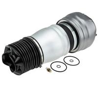 NTY Molla pneumatica, Autotelaio compatibile con PORSCHE VAG EZC-PS-009
