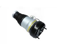 Soffietto sospensione pneumatica Assale anteriore Sx Forcella inferiore 2079055