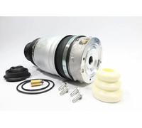 MONROE ASP003 Molla pneumatica