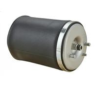 GSP 35100161 Molla pneumatica