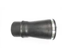 Soffietto sospensione pneumatica Assale posteriore Dx Ponte inferiore ASP010