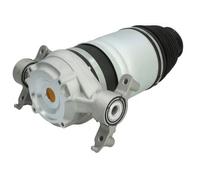 Soffietto sospensione pneumatica Assale posteriore MZW004MT Magnum Technology