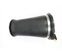 MONROE ASP037 Molla pneumatica