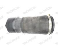 Soffietto sospensione pneumatica Assale posteriore Spina inferiore ASP039 MONROE