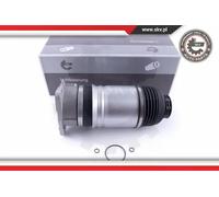 Soffietto sospensione pneumatica Assale posteriore Sx 58SKV045 ESEN SKV per AUDI