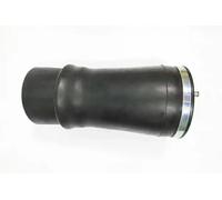 Monroe Molla pneumatica ASP013 – Assale posteriore Sx, Spina inferiore