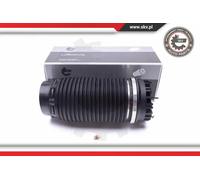 ESEN SKV 58SKV056 Molla pneumatica