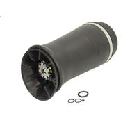 Molla pneumatica, telaio ARNOTT EUROPE A-2153