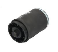 Soffietto, sospensioni pneumatiche ARNOTT EUROPE A-2504 per X5 (E53) 3 2000-2006