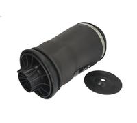 Soffietto, sospensioni pneumatiche ARNOTT EUROPE A-2596 per GLS (X166) 3 2015-