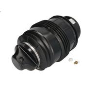 Soffietto, sospensioni pneumatiche ARNOTT EUROPE A-2725 per CLS (C219) 5.4 2005-