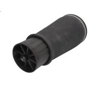 Soffietto, sospensioni pneumatiche ARNOTT EUROPE A-2949 GX (_J12_) 4.7 2001-2009
