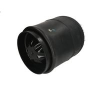 Soffietto, sospensioni pneumatiche FEBI 32816 per AXOR 6.374 2002-2004