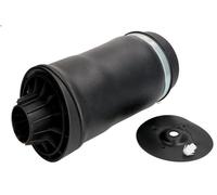 Molla pneumatica, telaio MAGNUM TECHNOLOGY MZM010MT