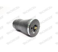 Soffietto, sospensioni pneumatiche MONROE ASP012 per BMW X5 (E53) 3 2000-2006