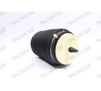 Soffietto, sospensioni pneumatiche MONROE ASP019 per A6 C7 (4G2, 4GC) 2 2011-