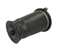 Soffietto, sospensioni pneumatiche MONROE ASP037 per RANGE ROVER II 4 1995-