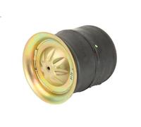 Soffietto, sospensioni pneumatiche PHOENIX 1 KF 24-21 53244 AXOR 6.374 2002-