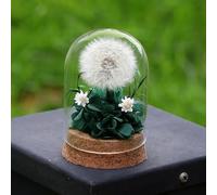 Soffione in Barattolo - Desiderio Esaudito,Soffione Reale,Conservato per Sempre,Lavorato a Mano,Idea Regalo per Donne,Amica,Regalo per Compleanno,Matrimonio,Natale,Decorazione in Vetro,Portafortuna