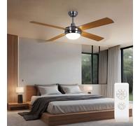 Soffitto Ventilatore Lampada Argento Telecomando Timer Cucina Raffreddamento [EEK: Inaditato]
