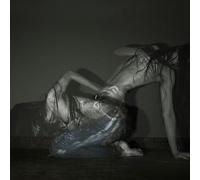 SOFIA ISELLA - SOMETHING IS A SHELL .