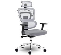 Sofotel Sedia da scrivania ergonomica, girevole, regolabile, poggiatesta, supporto lombare, braccioli, SoftUp Gas Lift SoftSwing, sedia da studio Nicea, grigio
