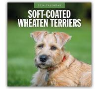 Soft-Coated Wheaten Terriers - Soft-Coated Wheaten Terrier 2026 - 16-Monatskalender: Original Red Robin Publishing Ltd-Kalender [Mehrsprachig] [Kalender]