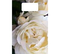 Soft Cover Notebook Natural