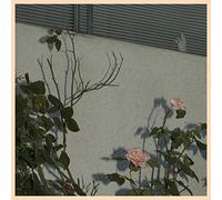 Soft Kill Savior (CD) Album