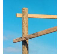 Soft Loft Modern Roses (Vinyl LP) 10" EP