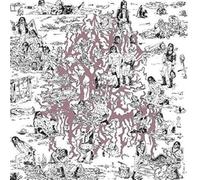The Soft Pink Truth Why Do the Heathen Rage? (CD) Album