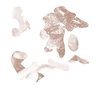 Soft Tissue - Hi Leaves