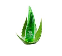 Softto+Plus Gel Lenitivo All'Aloe Vera E Idratante