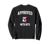 Software Engineer Code Review Approved with Nits Felpa