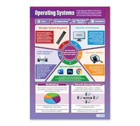 Software operativo | Poster ICT | Carta lucida laminata misura 850mm x 594mm (A1) | Schede informatiche per la classe | Schede didattiche di Daydream Education