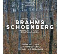 Sofya Melikyan, David Haroutunian, Mikayel Hakhnaz - Brahms: Piano Trio No. 1 - Schoenberg: Verklärte N