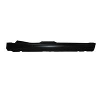 Soglia porta Dx 6505-06-2022012P BLIC per FIAT PUNTO PUNTO Cabriolet PUNTO Van