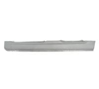 Soglia porta Sx 6505-06-5514011P BLIC per PEUGEOT 307 307 CC