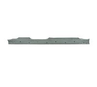 Soglie delle porte - pannello di accesso BLIC 6505-06-2902012P destro
