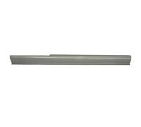 Soglie delle porte - pannello di accesso BLIC 6505-06-9501014P