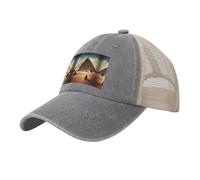 Sognando le piramidi di Cheope È un cappello in rete di denim lavato, semplice, non facile da deformare, resistente al sole e antivento, adatto per sport, viaggi e fotografia., grigio, taglia unica