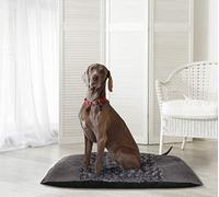 Sogni e Capricci Pets Cuscino Zoe, 88x69cm