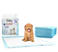 Sogni e Capricci Pets Tappetino Assorbente Pets, Lavanda, 1 Scatola (80 Pezzi)