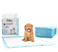 Sogni e Capricci Pets Tappetino Assorbente Pets, Neutro, 1 Scatola (80 Pezzi)