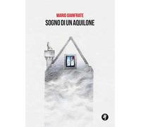 Sogno di un aquilone